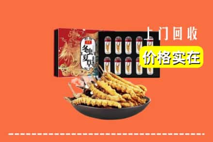 百色市乐业回收冬虫夏草